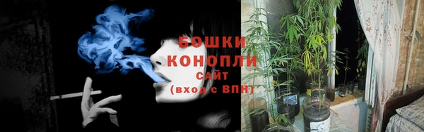 мяу мяу мука Козловка
