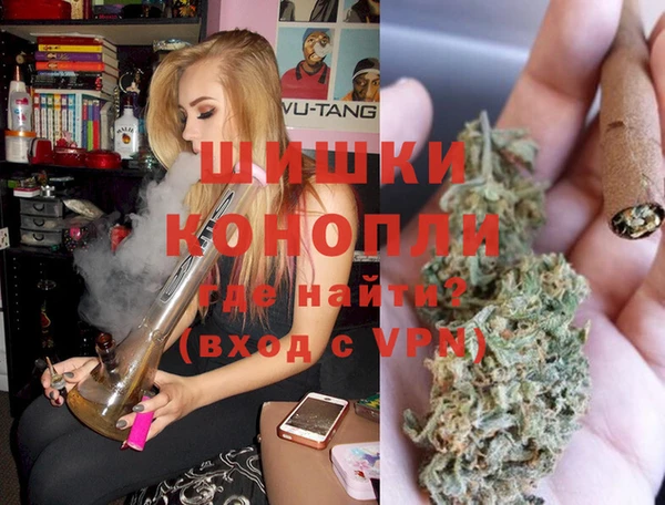 прущие грибы Козельск