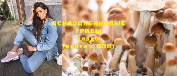 прущие грибы Козельск