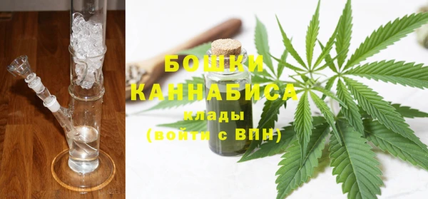 прущие грибы Козельск