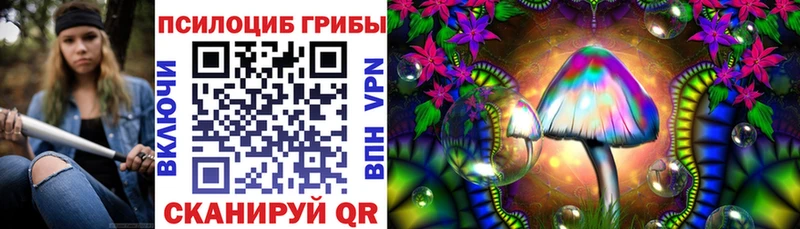 Галлюциногенные грибы мухоморы  Купить закладки  Шенкурск 